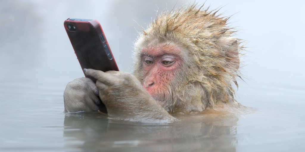 c83283017036d477fc3262fcc65edfb5